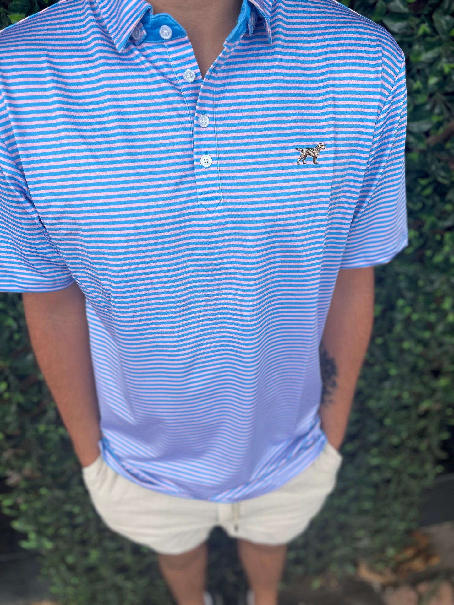 Men| Pink/Blue signature polo