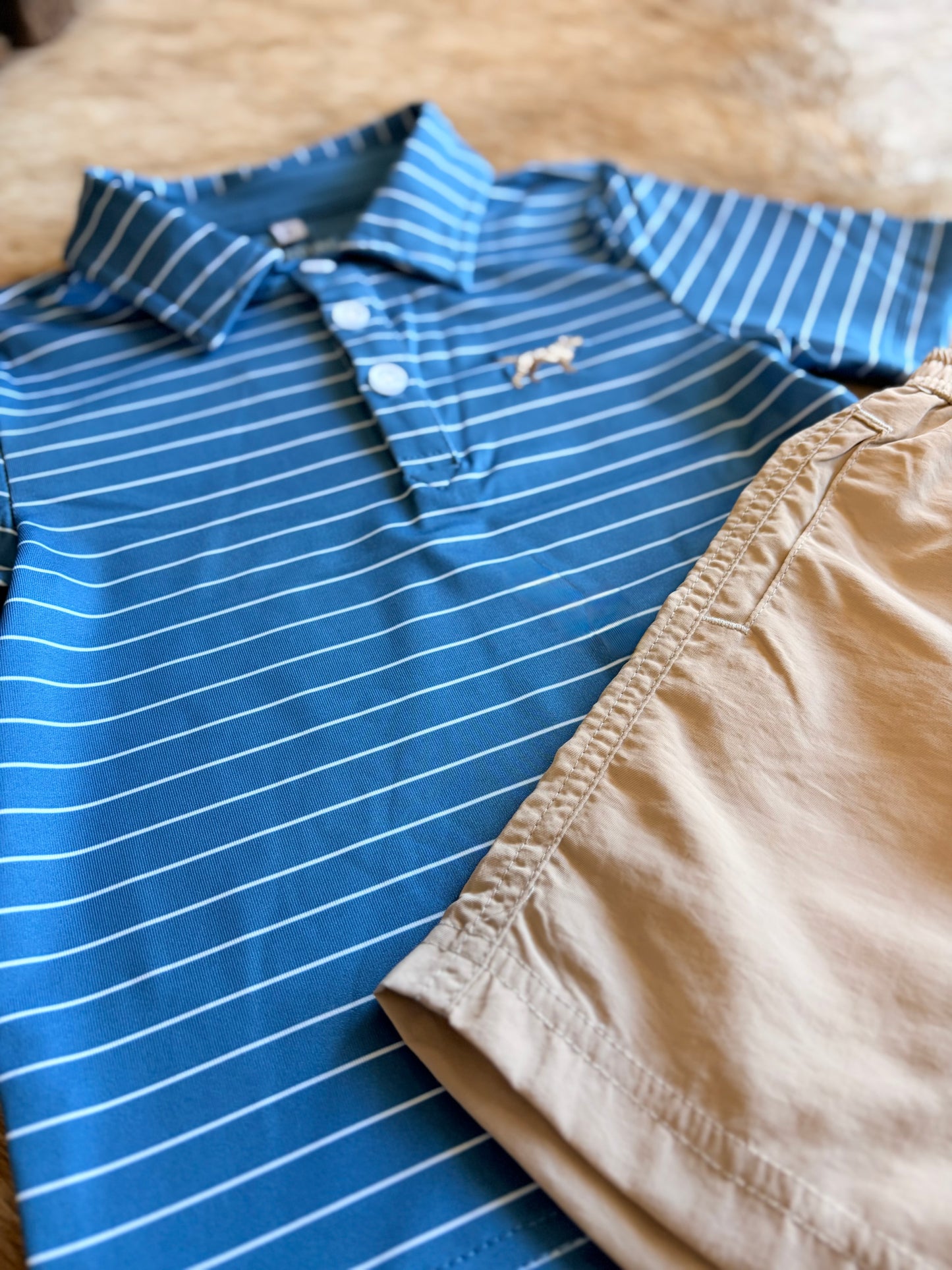 Boy| Blue Clubhouse polo