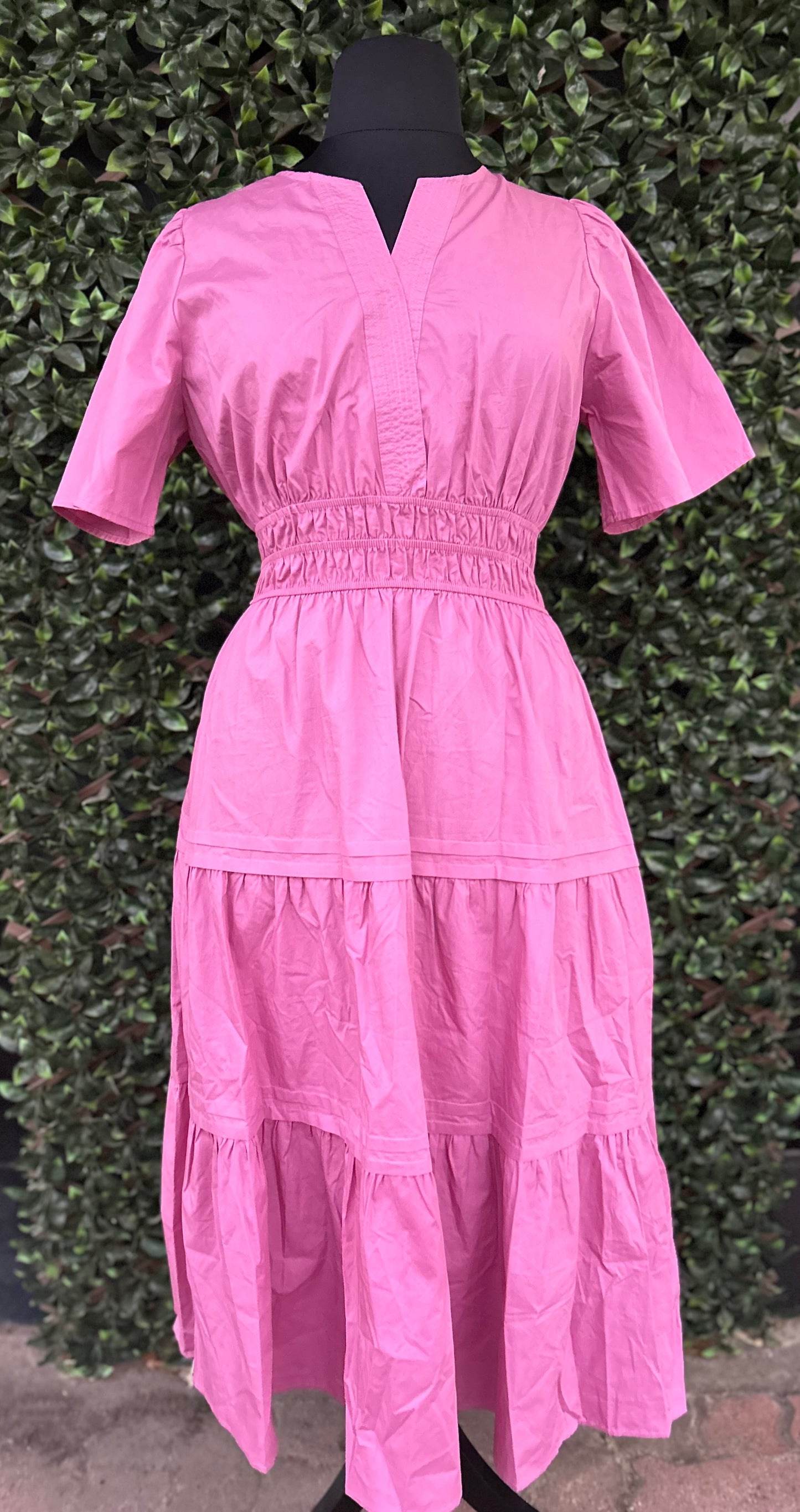 Curvy Darling Dress