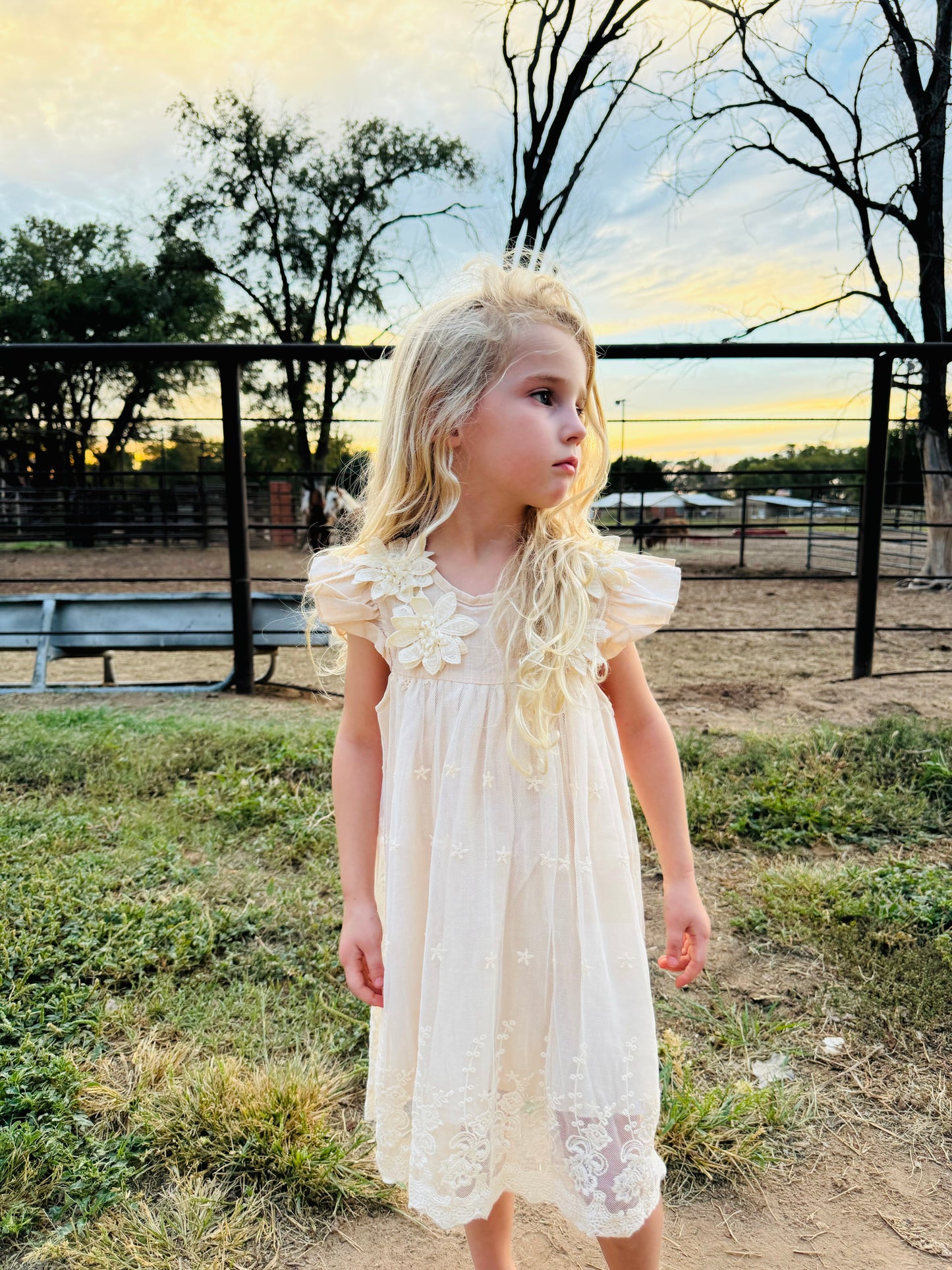 Cream Fall Dress