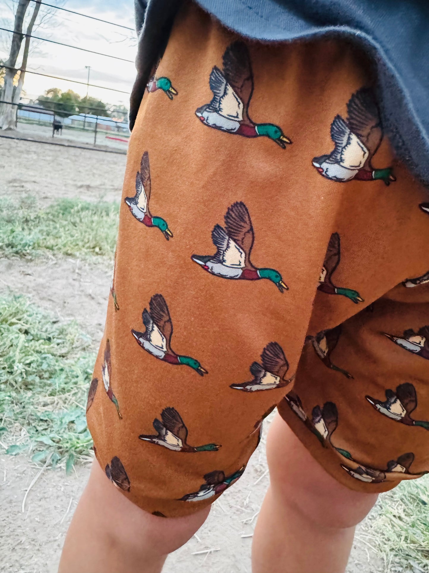 Duck Shorts