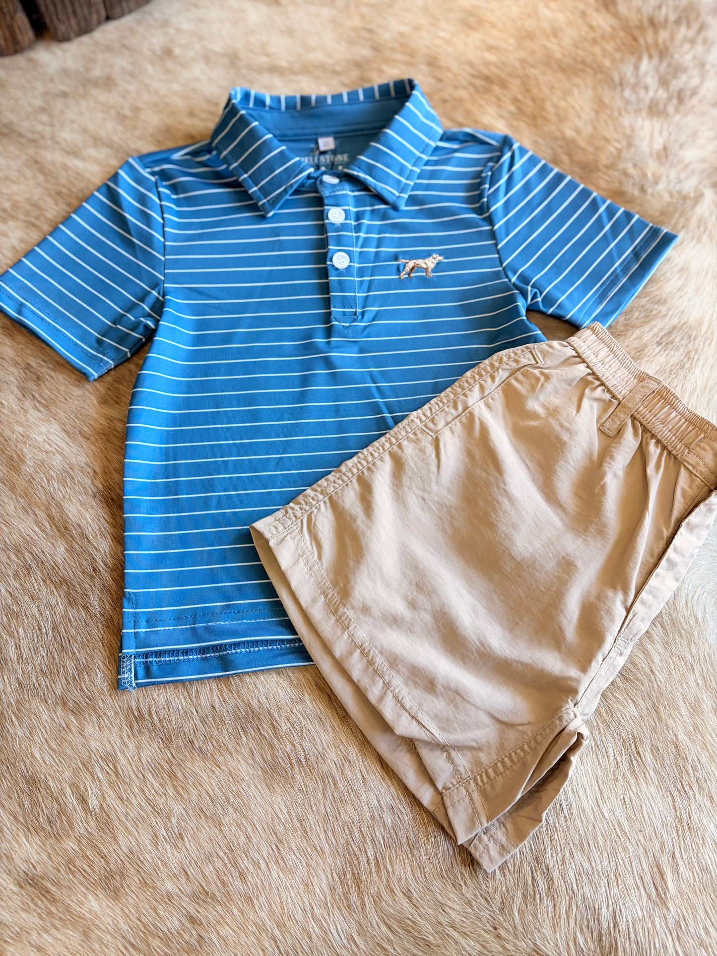 Boy| Blue Clubhouse polo