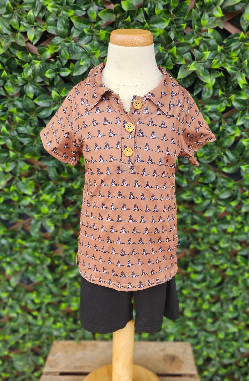 Brown Mallard Polo