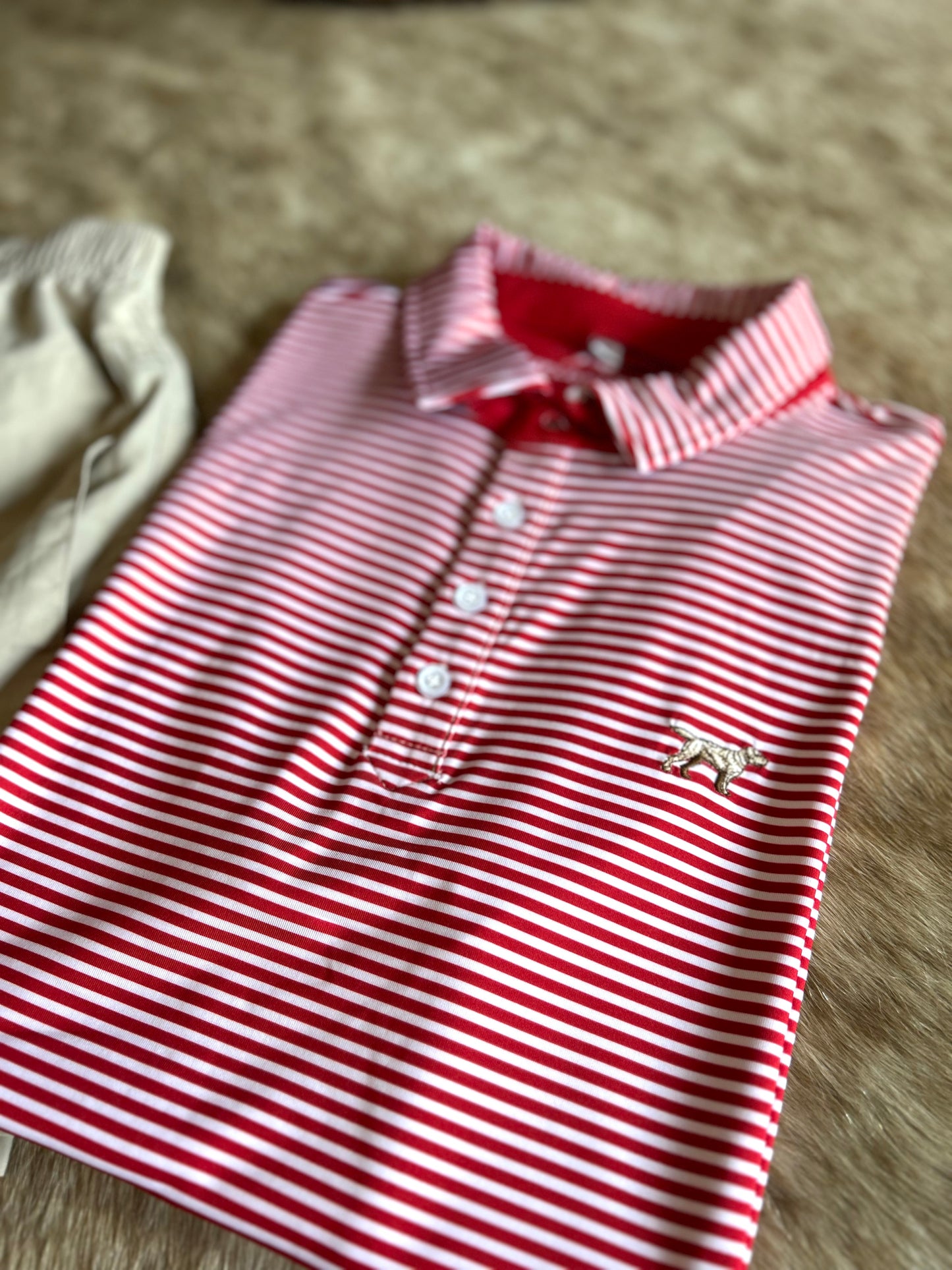 Men | Red Marshall Polo